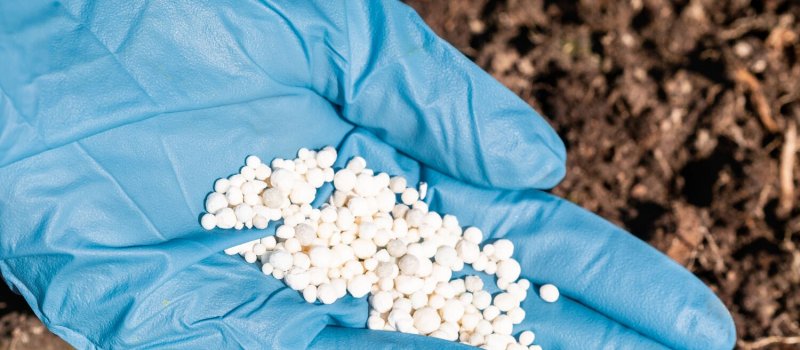 Czy perlit jest ekologiczny?