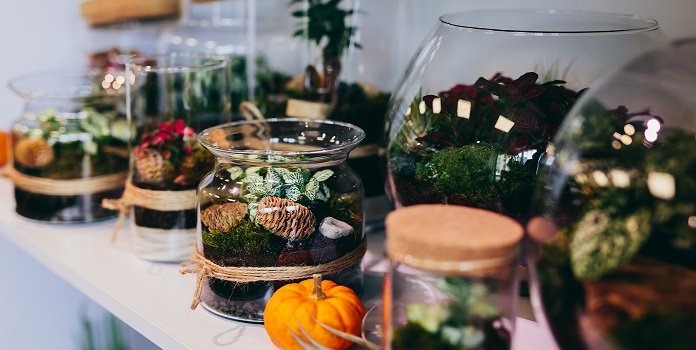 Dlaczego warto mieć las w słoiku?