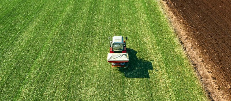 Saletra amonowa - uniwersalny nawóz podstawowy